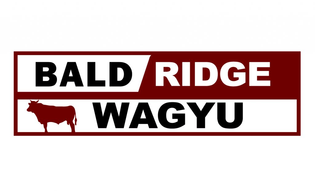 BALD RIDGE_final logo