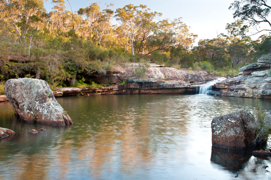 BUSINESS-VIEW---Dharawal-National-Park